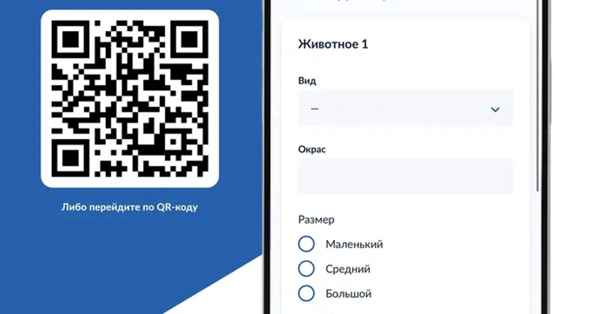 В Магнитогорске о бездомной собаке или кошке можно сообщить через Госуслуги за две минуты